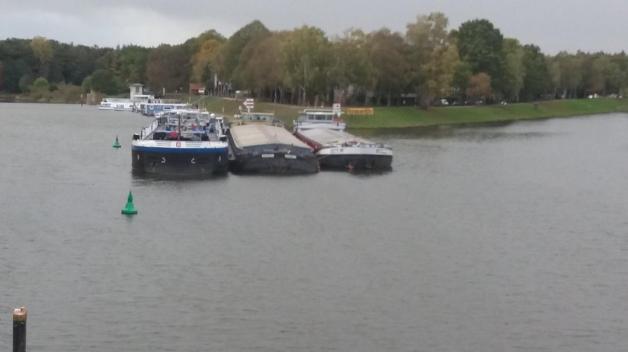 So sah es an den zwei Tagen in Gleesen aus. Foto: Polizei Emsland/Grafschaft Bentheim So sah es an den zwei Tagen in Gleesen aus. Foto: Polizei Emsland/Grafschaft Bentheim