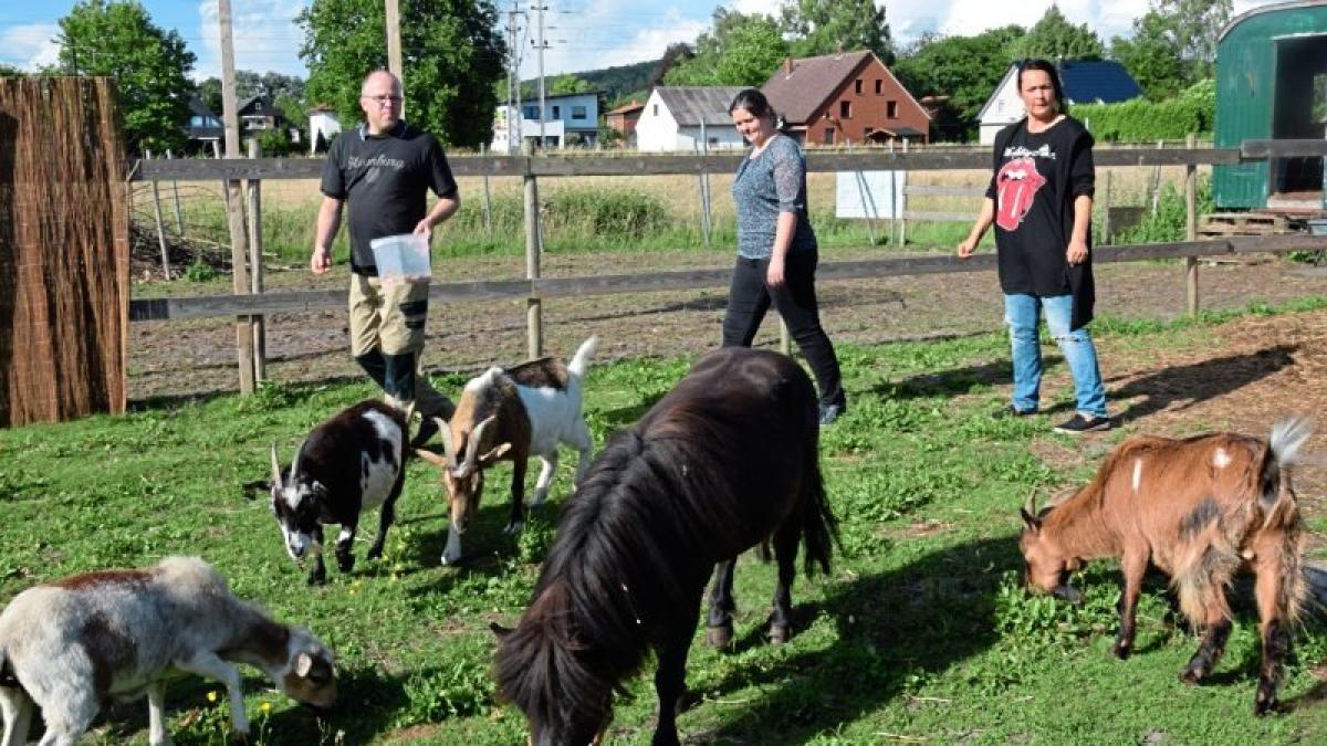 Keine Gnade für den Gnadenhof in | NOZ