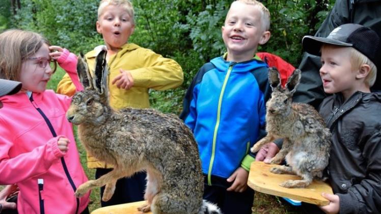 Ein Hase oder doch ein Kaninchen? Den Kindern gefielen die Anschauungsobjekte jedenfalls sichtlich. 