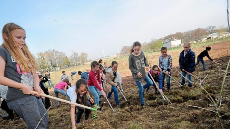 Harken für die Artenvielfalt: Schüler der IGS Osnabrück befreien die künftige Blumenwiese von Gräsern. 