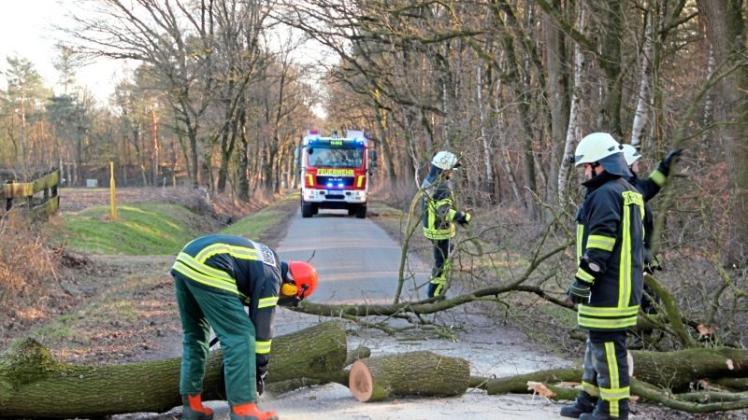 Die Feuerwehr aus Dötlingen hat am Freitag eine Eiche beseitigt. 