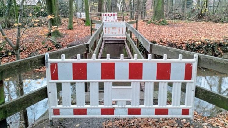Im Tiergarten sind aktuell zwei Brücken gesperrt. Ein Gutachten soll klären, ob sie repariert werden können oder ersetzt werden müssen. 