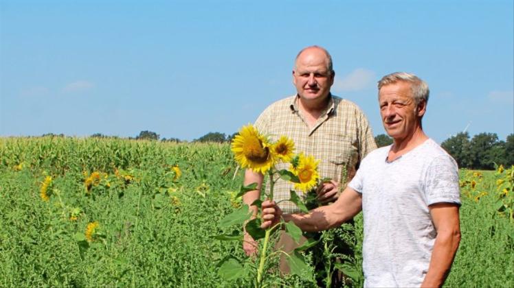 4,5 Hektar Blühwiesen in Neulehe