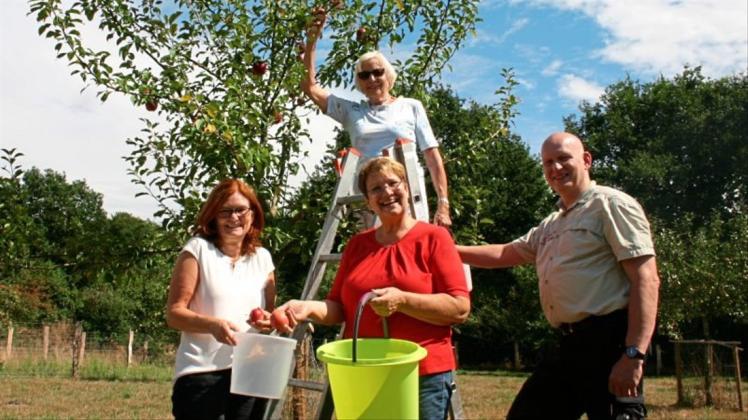 Das Orga-Team pflückt Material für Apfelkuchen, den es am Hasbruchtag geben wird (v.l.): Anke Fink-Heinemann, Wiltrud Schauer (Leiter), Elisabeth Kühling und Jens Meier. Das Orga-Team pflückt Material für Apfelkuchen, den es am Hasbruchtag geben wird (v.l.): Anke Fink-Heinemann, Wiltrud Schauer (Leiter), Elisabeth Kühling und Jens Meier.