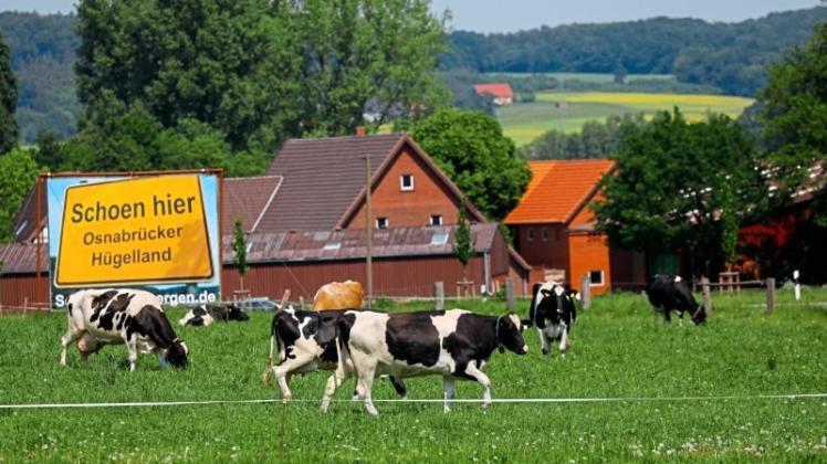 „Schön hier“, lässt die Bürgerinitiative „Schönes Natbergen“ plakativ wissen. Seit zehn Jahren setzt sie sich gegen ein Gewerbegebiet im Natberger Feld ein. 