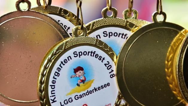 Beim Kindergartensportfest in Ganderkesee es gibt nur Gewinner: Am Ende erhält jedes Kind eine Medaille. Foto:Thorsten Konkel