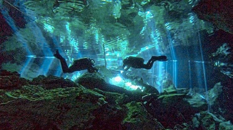 Faszinierend sind die Unterwasserwelten. Darauf verweist der Lingener Tauchclub Hydra. 