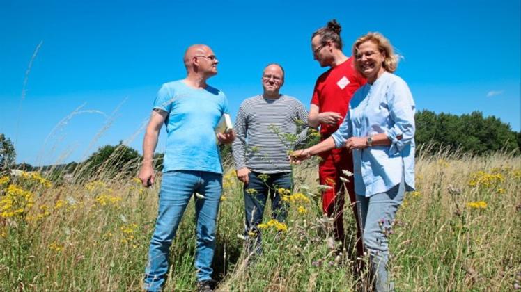 Die Blühwiese gedeiht: Peter Borgmann, Kai Behncke, Tobias Zehn und Beate Maria Zimmermann (von links) betrachten eine Wiesensilge. 