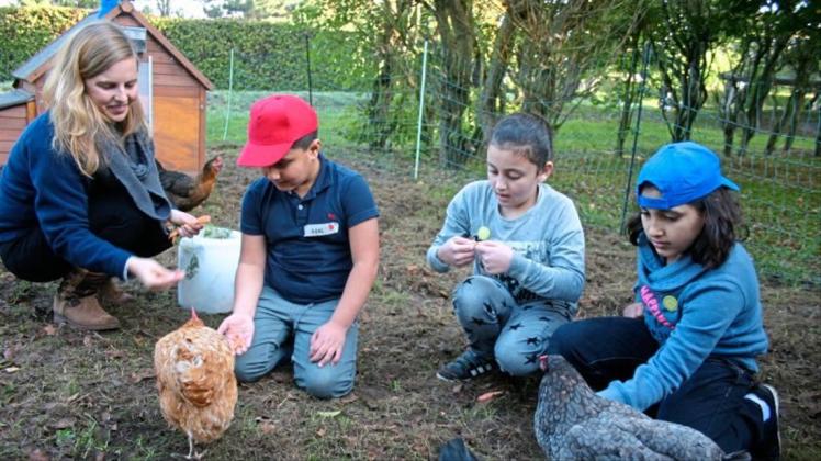Claudia Kay füttert die Miethühner gemeinsam mit Feriensprachcamp-Kindern. 
