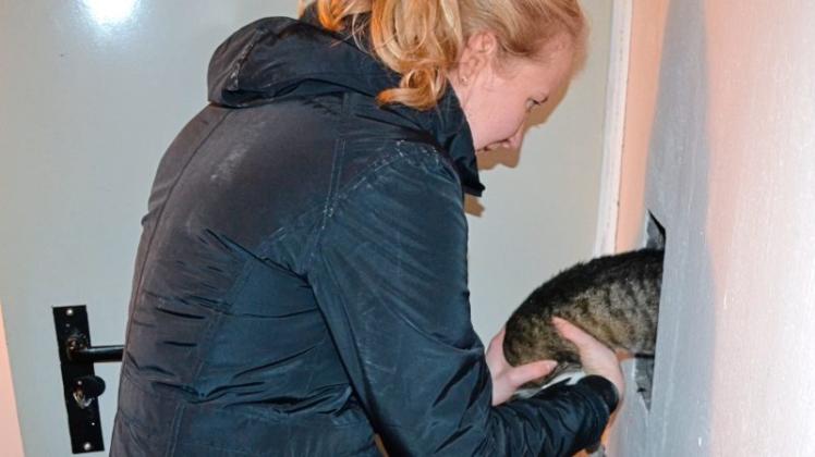 Glückliches Ende: Nach zahlreichen Versuchen der Feuerwehr Hude, eine Katze aus dem Schornstein zu befreien, konnte die Besitzerin ihr Tier nach über einer Stunde unverletzt aus dem Rohr ziehen. 