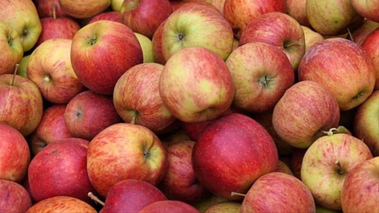 In diesem Jahr werde die Apfelernte bei 1,1 Millionen Tonnen liegen. 