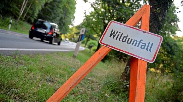 Schwer verletzt worden ist eine 48-jährige Autofahrerin aus Cloppenburg am Mittwoch gegen 6 Uhr bei einem Verkehrsunfall auf der Hegeler-Wald-Straße in Großenkneten. 

            
Symbolfoto: Susann Prautsch/dpa