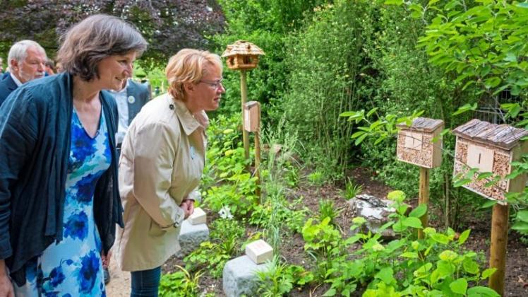 Landwirtschaftministerin besucht Bienengarten in Bad NOZ