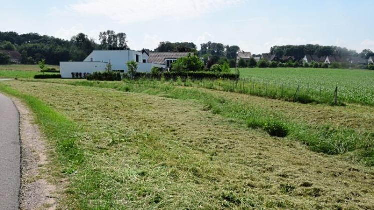 Gärtner mäht in Melle Blumenwiese mit NOZ