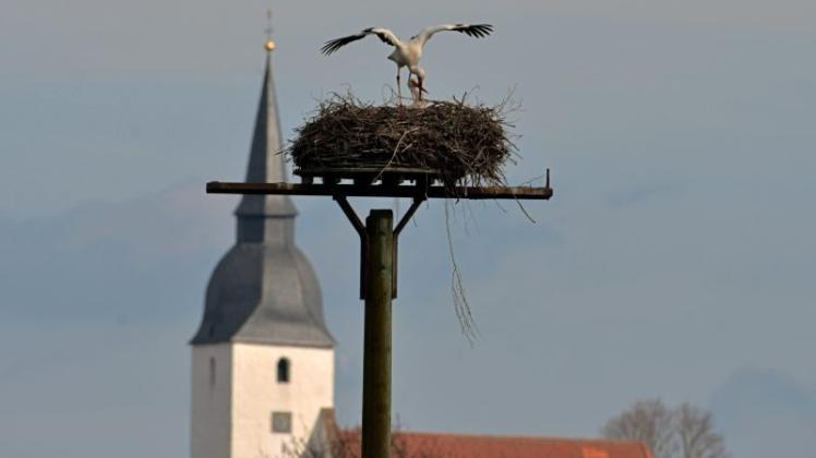 Die Horste Im Wittlager Land Sind | NOZ