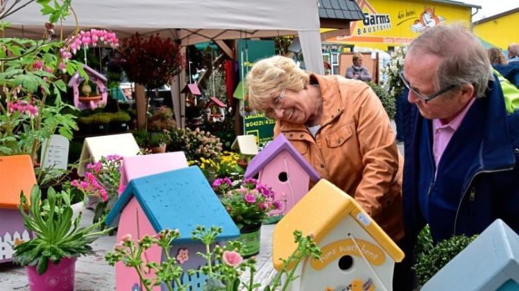 Farbenfroher Frühlingsgruß: Auch bunt bemalte Vogelhäuschen waren beim Garms-Frühlingsfest in Schierbrok begehrt. Farbenfroher Frühlingsgruß: Auch bunt bemalte Vogelhäuschen waren beim Garms-Frühlingsfest in Schierbrok begehrt.