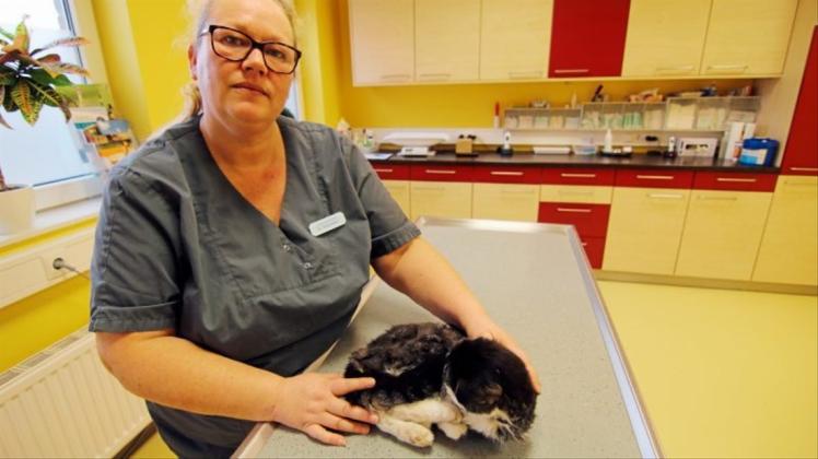 Immer wieder muss Tierärztin Dr. Sonja Küster mit ansehen wie Haustiere qualvoll leiden, weil ihre Besitzer sie viel zu spät behandeln lassen. Diese Katze konnte sie nur noch von ihren Schmerzen erlösen. 