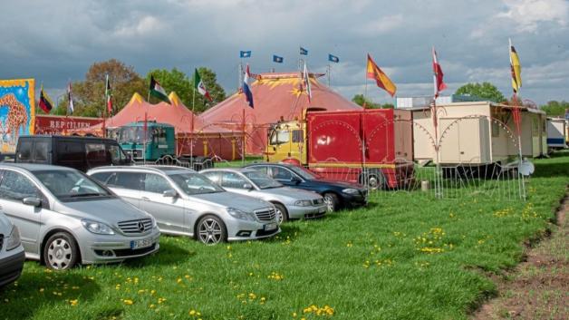 „Kein kleiner Wanderzirkus“: Circus Olympia gastiert in