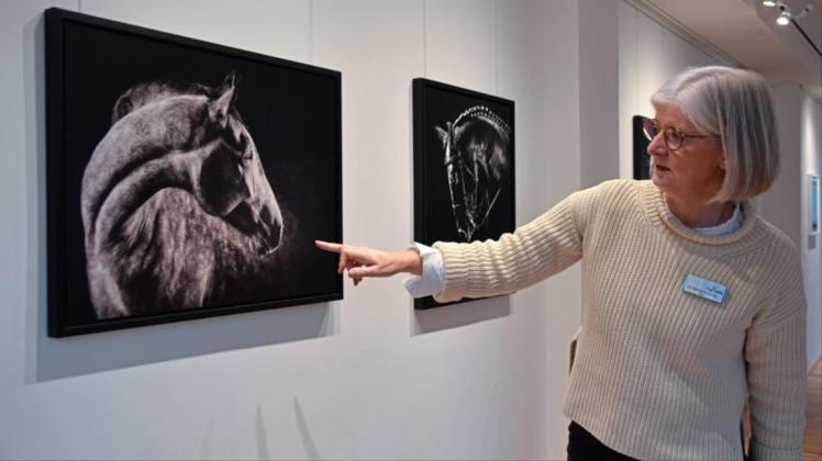 Mit Liebe zum Detail zeigen sich die Pferdefotografien, die Wiebke Steinmetz vom Kulturhaus Müller erklärt. 