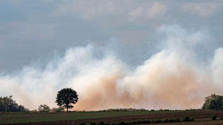 Auf einem Testgelände der Bundeswehr stehen seit dem 04. September fünf Hektar Moorland in Brand. 