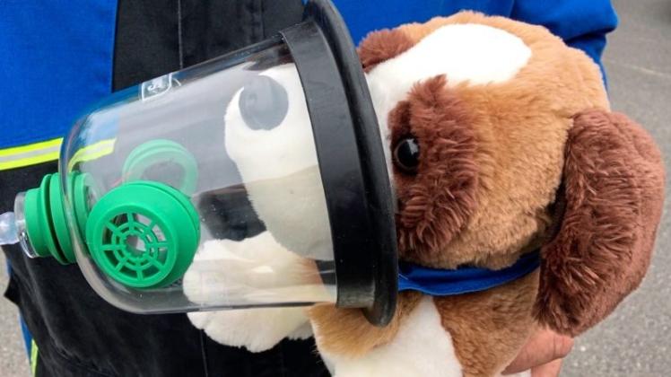 Mit den neuen Beatmungsmasken für Haustiere, hier an einem Plüschhund demonstriert, kann die Feuerwehr künftig bei Einsätzen Tiere wie Hunde oder Katzen beatmen. Mit den neuen Beatmungsmasken für Haustiere, hier an einem Plüschhund demonstriert, kann die Feuerwehr künftig bei Einsätzen Tiere wie Hunde oder Katzen beatmen.