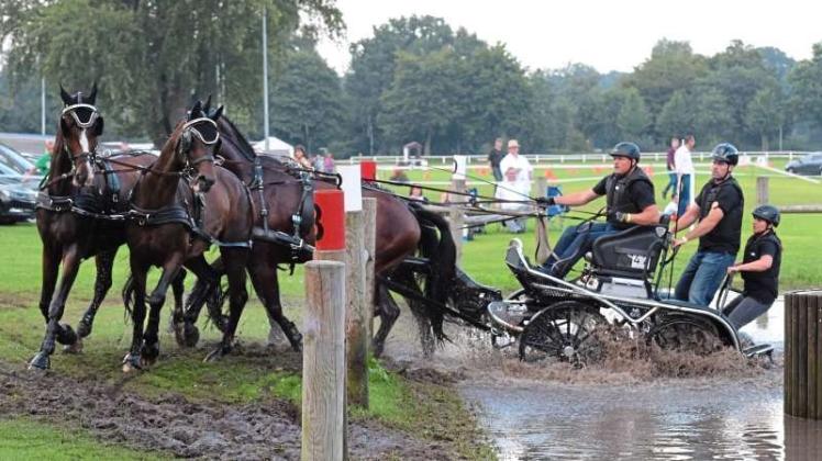 Das Oldenburger Landesturnier 2016 im Rasteder Schlosspark begeisterte sechs Tage lang viele Zuschauer. 1000 Reiter traten in 114 Prüfungen an. 