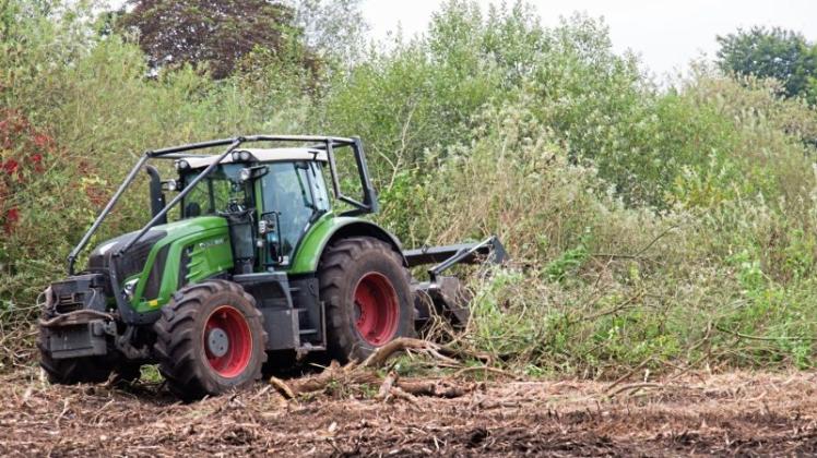 Die Stadt hat am Dienstag rund 2000 Quadratmeter Gehölze in einem Biotop nahe der Kita Langenwisch gerodet. Sie plant dort Bauplätze. Naturschützer und Bürger sind bestürzt. Die Stadt hat am Dienstag rund 2000 Quadratmeter Gehölze in einem Biotop nahe der Kita Langenwisch gerodet. Sie plant dort Bauplätze. Naturschützer und Bürger sind bestürzt.