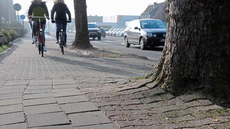 Auch Rad- und Gehwege wie hier an der Straße „Am Vosseberg“ in Papenburg müssen nach Auffassung des UBF dringend instandgesetzt werden. 