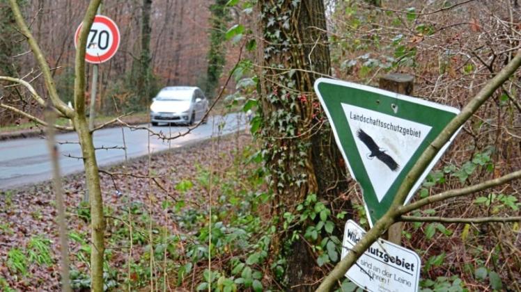 Ein Schild am Heilstättenweg kennzeichnet das Stenumer Holz als Landschaftsschutzgebiet. Der Wald soll 2018 als Naturschutzgebiet ausgewiesen werden. 