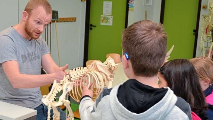 Lehrer Philipp Schünemann gewährt am Schnuppertag Einblicke in den Biologieunterricht an der Oberschule Ganderkesee. 