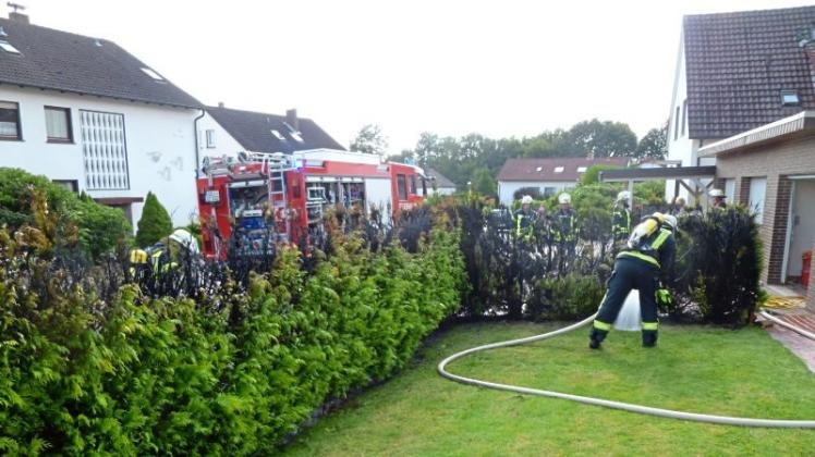 Nicht mehr viel zu retten gab es am Mittwoch für die Freiwillige Feuerwehr Kloster Oesede: In einem Vorgarten brannte eine Hecke lichterloh. 