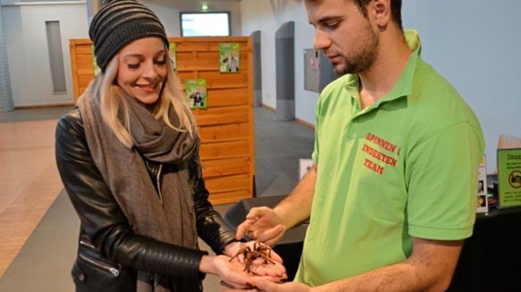 Flauschiges Erlebnis: Ausstellungs-Mitarbeiter Emanuel Ene setzt Besucherin Sabrina Feldhaus eine Vogelspinne auf die Hand. 