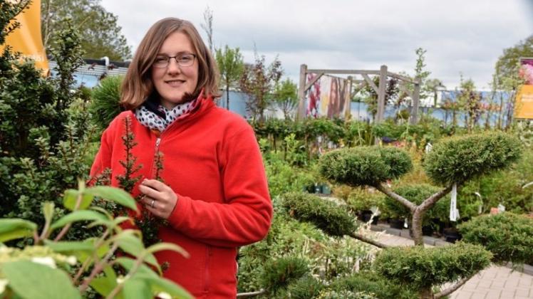 Eva Wieting, Baumschulgärtnerin bei Arkenau, empfiehlt immergrüne Nadelhölzer für einen pflegeleichten Garten. 