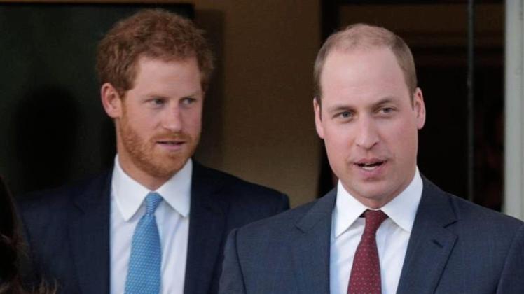 Prinz Harry (l) und Prinz William gaben Auskunft über ihre Mutter. 