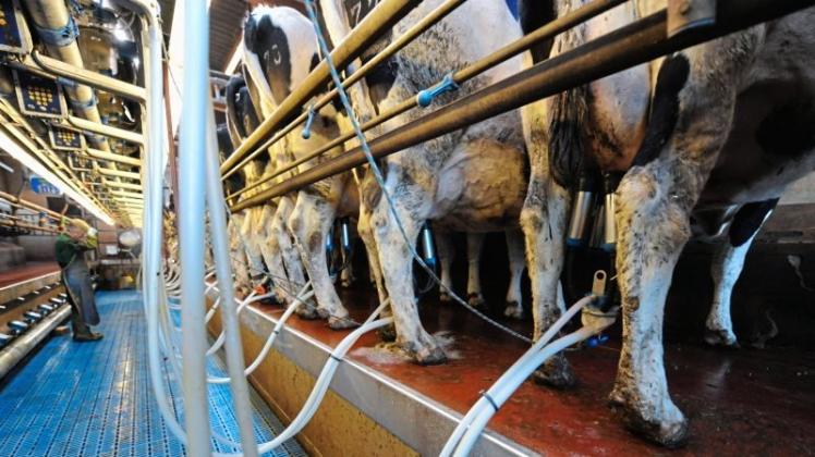 2016 war gezeichnet durch die schwere Milchkrise. Das zeigt sich bei den Agrarsubventionsempfängern: Die größten Summen erhielten Molkereien in Deutschland. 