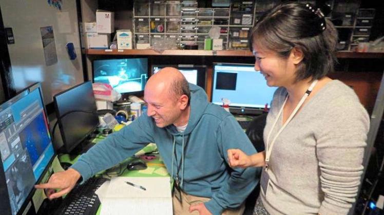 Der deutsche Forscher Bernd Kuhn und seine japanische Kollegin Shinobu Nomura im Okinawa Institute of Science and Technology (OIST). Der deutsche Forscher Bernd Kuhn und seine japanische Kollegin Shinobu Nomura im Okinawa Institute of Science and Technology (OIST).