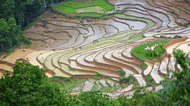 In einer Live-Fotoshow zeigt Gunnar Green am Donnerstag Bilder über Indochina. Dieses Foto zeigt Reisterrassen in Nordvietnam. 