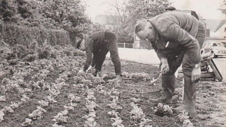 Unser Nostalgiebild zeigt, wie Blumen im Ganderkeseer Ortskern im Mai 1967 gepflanzt werden. 
