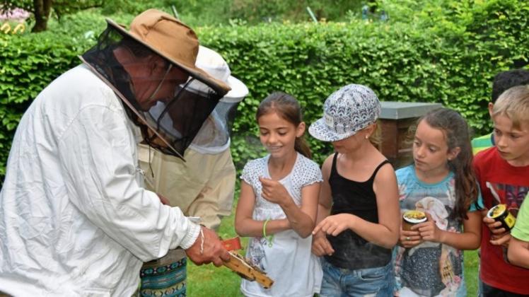 Der Bürgerparkverein „Unsere Graft“ hat einen Bienenlehrpfad eingerichtet.

            
