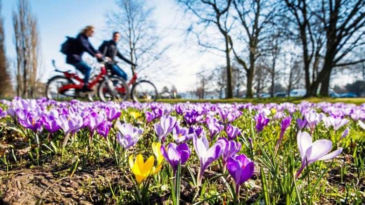 Der März 2017 war der wärmste März seit Beginn der Wetteraufzeichnungen. Der März 2017 war der wärmste März seit Beginn der Wetteraufzeichnungen.