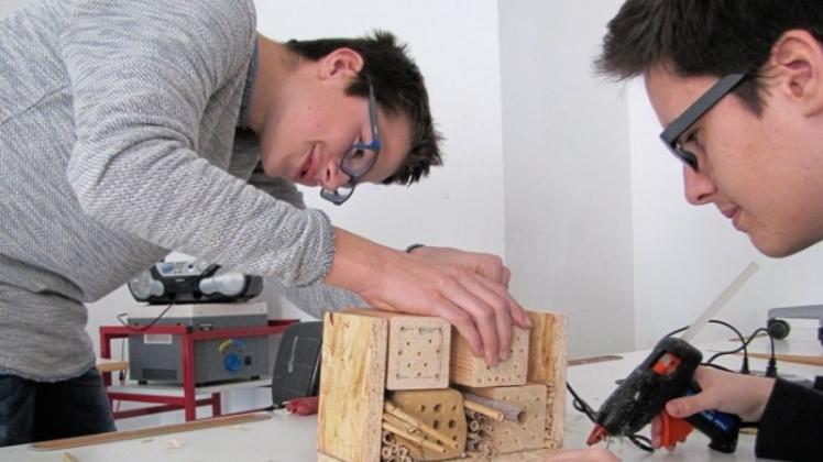 Schüler bauen eine Insektenhaus. 