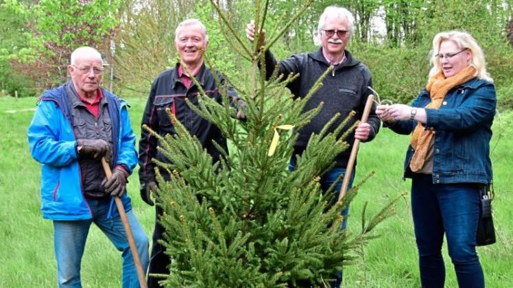 Hans Hermann Meyer, Horst Auffarth, Heinz Kaemena und Manuela von Holten (v.l.) haben den Baum des Jahres gepflanzt. 