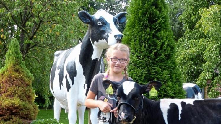 Auf Hochglanz: Bevor es zu einem Vorführwettbewerb ging, wurde das Kalb Diva de Luna immer wieder mit Shampoo gewaschen. Die zehnjährige Maira Beyer, deren Eltern einen Milchviehbetrieb betreiben, hat mit dem Tier wochenlang trainiert. 