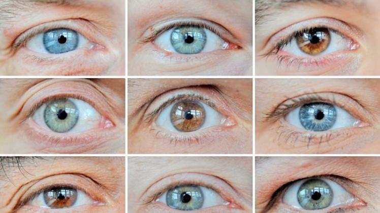 Eine erweiterte DNA-Analyse könnte auch Aufschluss auf die Augenfarbe geben. Symbolfoto: Julian Stratenschulte/dpa