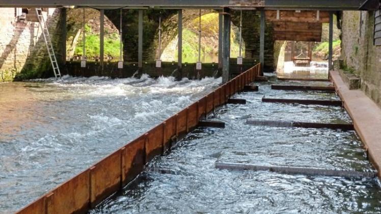 Die Fischtreppe an der Mühle Bohle wird am 1. Mai offiziell von Landrat Dr. Klaus Effing übergeben. 