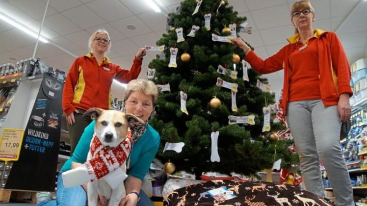Kerstin Glage (Mitte) mit ihrem Hund Felix und die Futterhaus-Mitarbeiterinnen (v. l.) Julia Summer und Sophia Worthmann hoffen wieder auf rege Beteiligung an der Wunschbaumaktion für Tiere. 