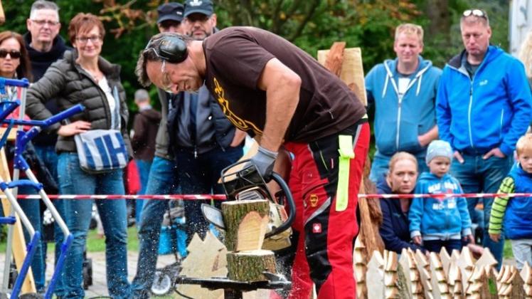 Das Forstamt bietet jetzt wieder praxisorientierte Motorsägenlehrgänge an. Symbolfoto: Thorsten Konkel Das Forstamt bietet jetzt wieder praxisorientierte Motorsägenlehrgänge an. Symbolfoto: Thorsten Konkel
