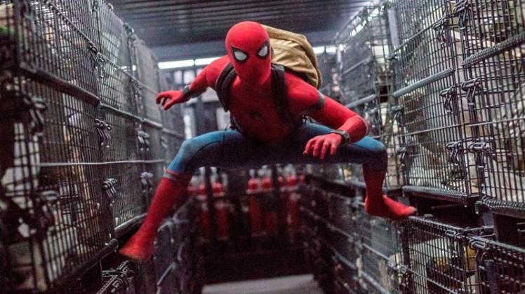 Als jüngster Zuwachs des „Marvel Cinematic Universe“ verbeißt sich Peter Parker mit Welpen-Charme in die Aufgabe, ein richtiger Avenger zu werden. Bild: Sony Pictures