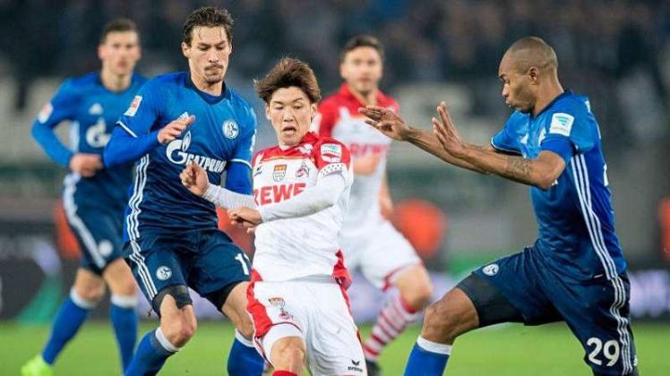 Kölns Yuya Osako (M) kämpft mit Schalkes Benjamin Stambouli (l) und Naldo kämpfen um den Ball. 