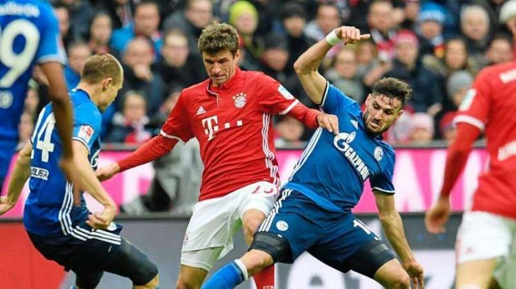 Thomas Müller (M) arbeitet sich beim Kampf um den Ball an den Schalkern Holger Badstuber (l) und Daniel Caligiuri ab. Foto: Tobias Hase